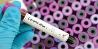 Coronavirus