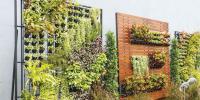 Vertical Gardening