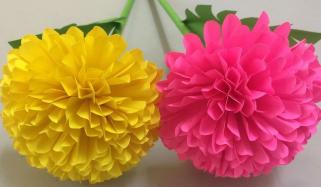 Paper Flower