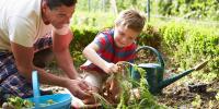 Gardening At Home