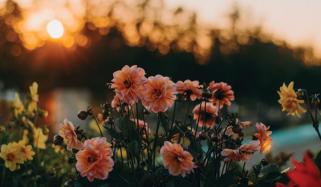 Think Before You Speak