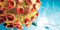 Biological Sciences