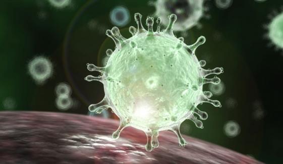 Coronavirus