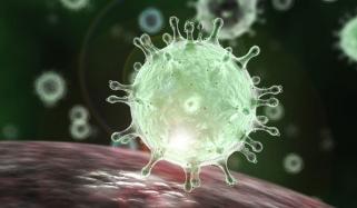 Coronavirus