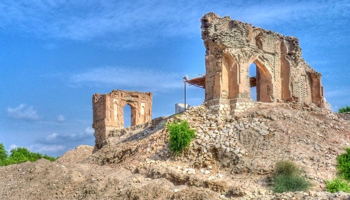 فاتحِ سندھ، غازی محمد بن قاسمؒ اسلام کی عظمتِ رفتہ کا امین