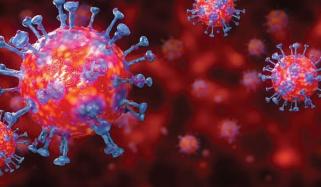 Coronavirus