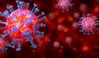 Coronavirus
