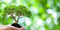 Environmental Science