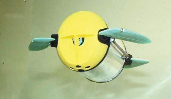 Robot Turtle