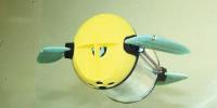 Robot Turtle
