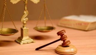 Law