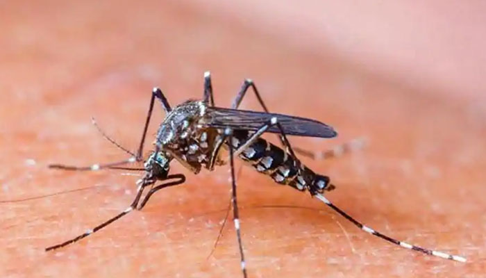 آتش فشانی شیشے کے اسپرے سے ملیریا بردار مچھروں کا خاتمہ