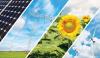 Solar Energy