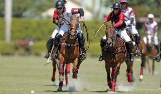 Polo Sports