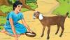 Child Story