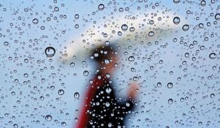 Rain Drops