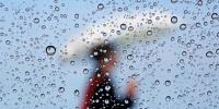 Rain Drops