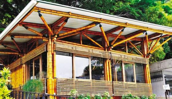 Environmentally Friendly Buildings