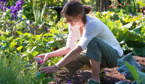 Gardening