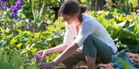 Gardening