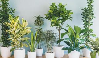 Home And Decor