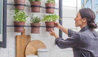 Gardening In Kitchen