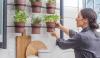 Gardening In Kitchen