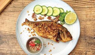 Fish Recipes