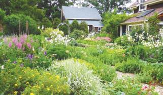 Cottage Garden