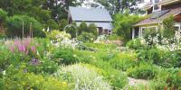 Cottage Garden