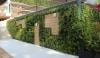 Green Wall