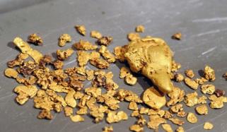 Bacteria And Gold