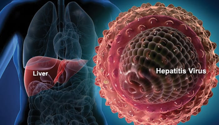 ہیپاٹائٹس بی اور سی کے وائرس کا معمہ