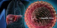 Hepatitis Virus