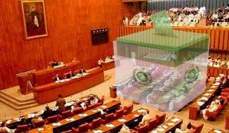Senate Election