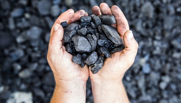 کوئلہ کیسے بنا