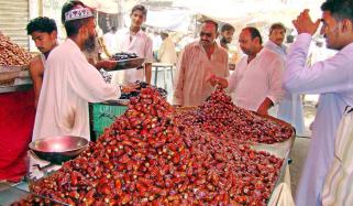 Date Palm