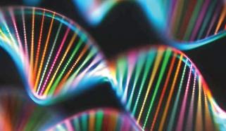 Dna
