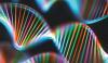Dna