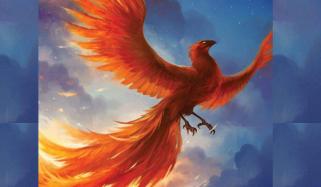 Fire Bird