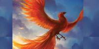 Fire Bird