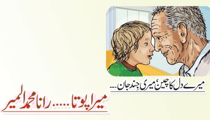 میرا پوتا  ... رانا محمد المیر