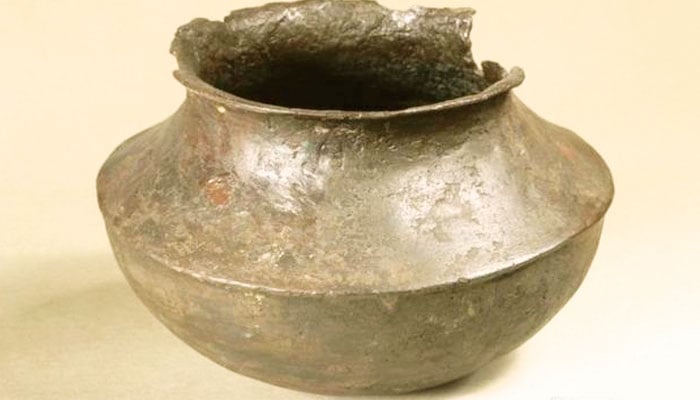 سندھ کی گم گشتہ تہذیب میں قدیم باشندوں کی خوراک
