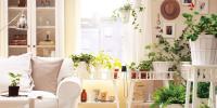 Home And Decor