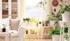 Home And Decor