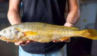 Special Edition Jang Magazine