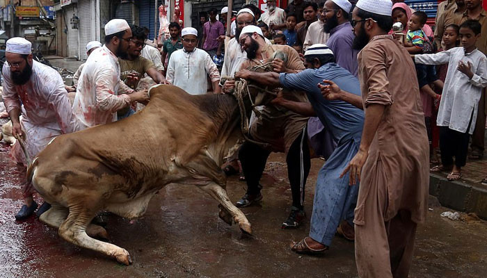 ق ربانی اللہ کے ق رب و رضا اور اعتراف بندگی کا مظہر