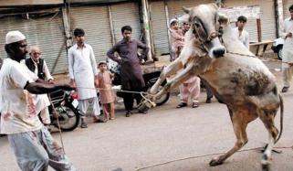 Eid Ul Azha