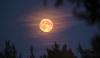 Supermoon