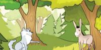 Child Story
